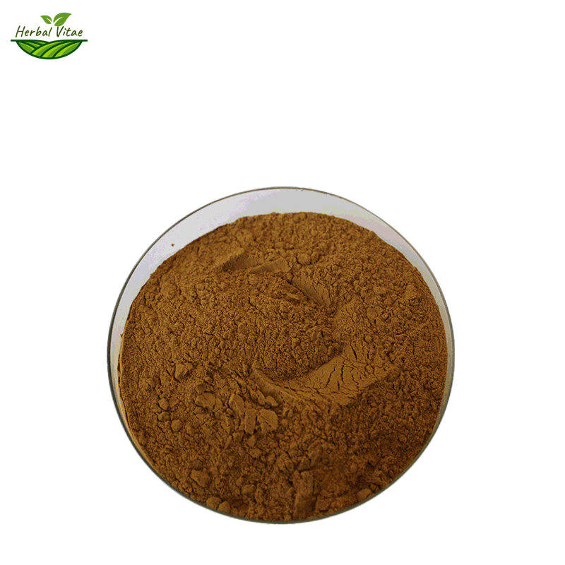 Poudre d'extrait de basilic
