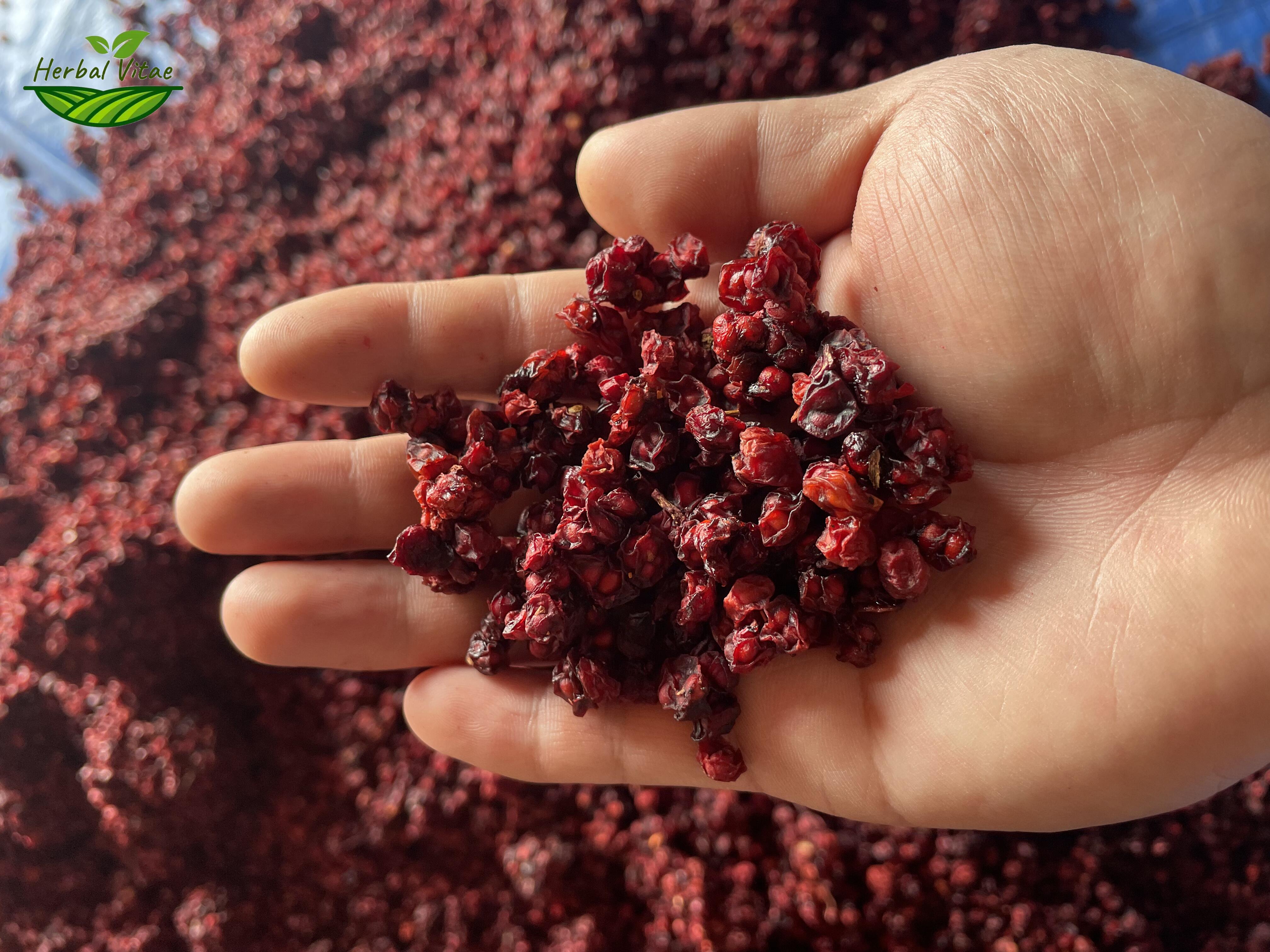 Schizandra